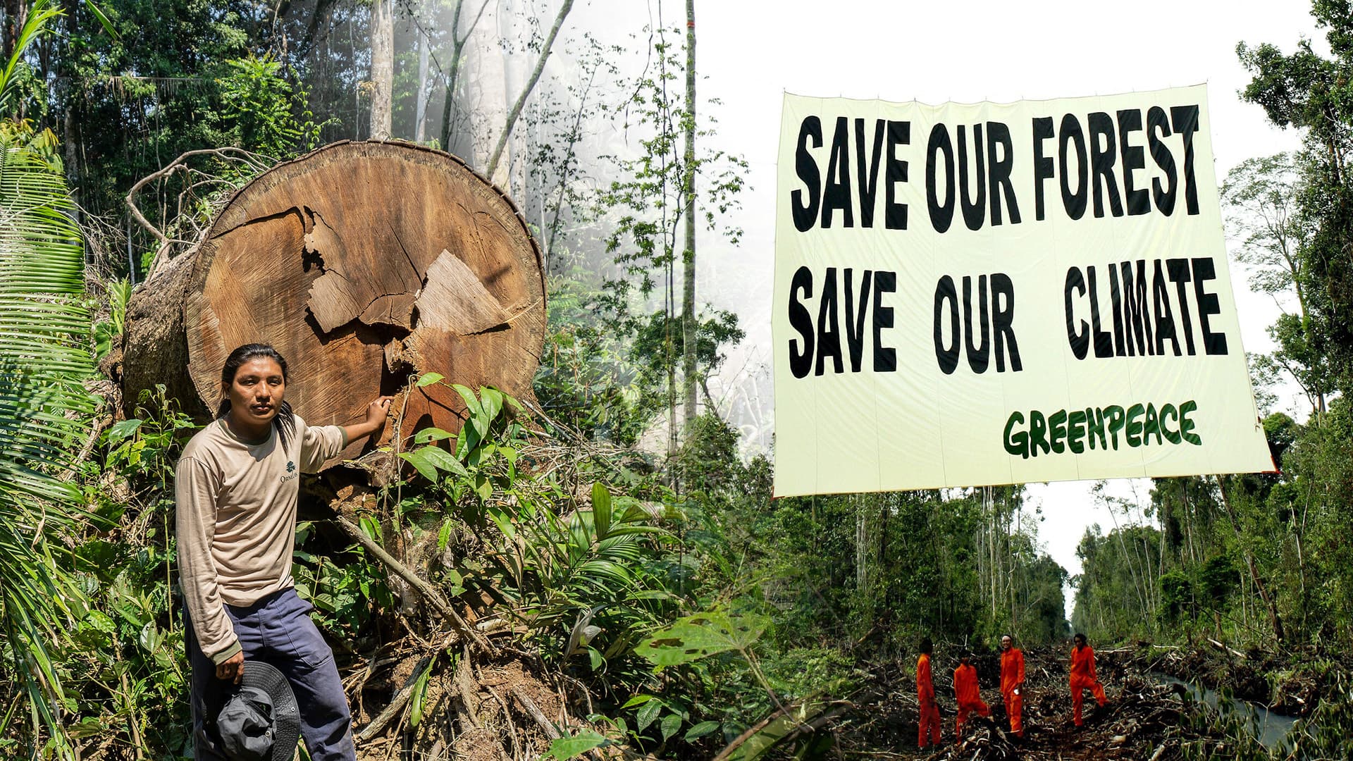 Grüne Klimaideologie: So werden die Menschen in den Entwicklungsländern ärmer