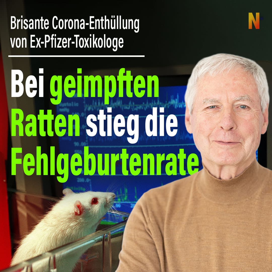 Brisante Corona-Enthüllung von Ex-Pfizer-Toxikologe: Bei geimpften Ratten stieg die Fehlgeburtenrate