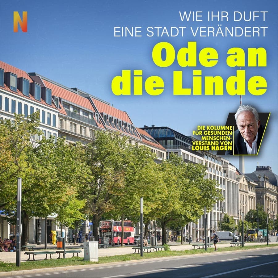 Ode an die Linde: Wie ihr Duft eine Stadt verändert