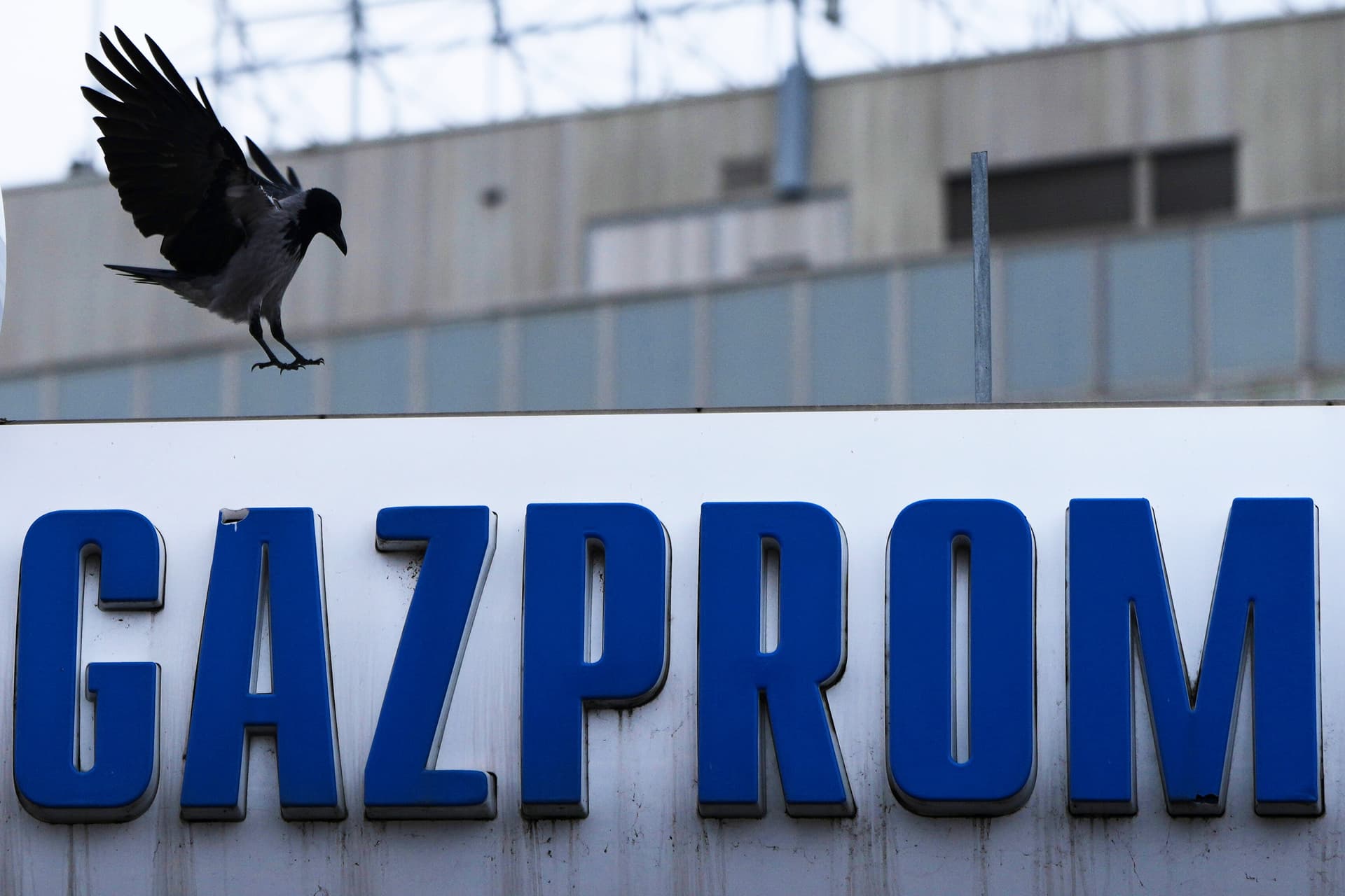 Gazprom involviert: Bundesanwaltschaft ermittelt wegen Sabotage der deutschen Gasversorgung