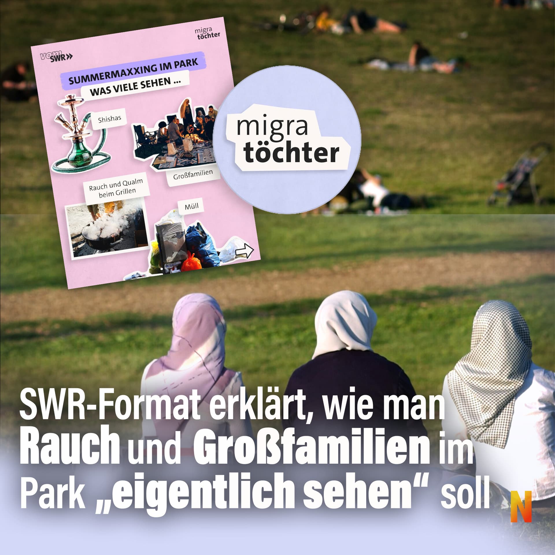SWR-Format erklärt, wie man Rauch und Großfamilien im Park „eigentlich sehen” soll