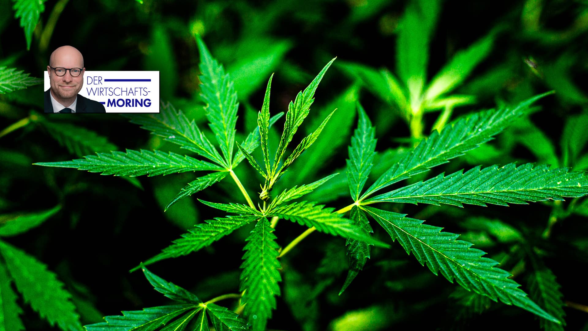Das einzige, was boomt in der deutschen Wirtschaft, ist der Cannabis-Markt