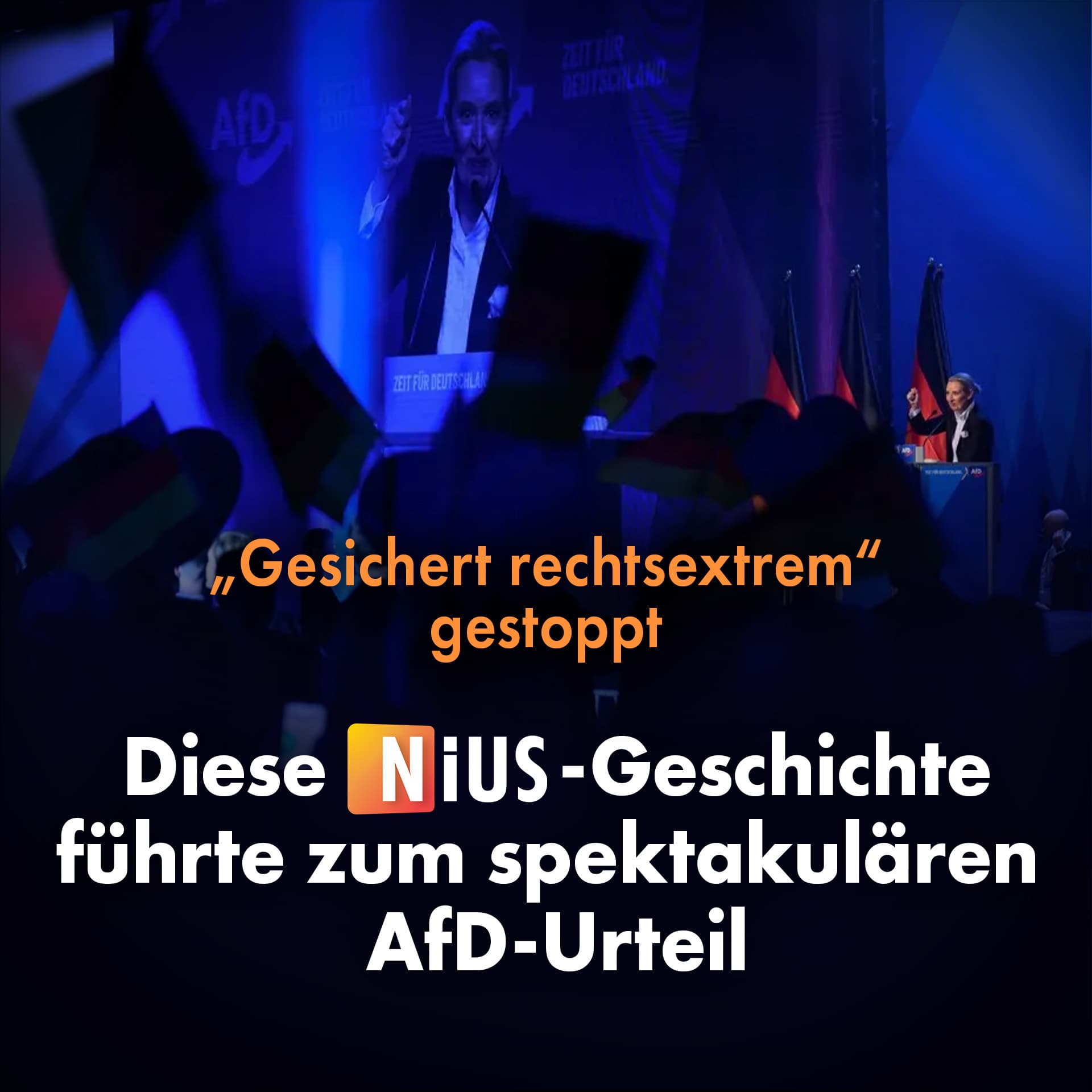 „Gesichert rechtsextrem“ gestoppt: Diese NIUS-Geschichte führte zum spektakulären AfD-Urteil